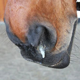 Atemwegsunterschung-4