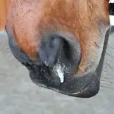 Atemwegsunterschung-4