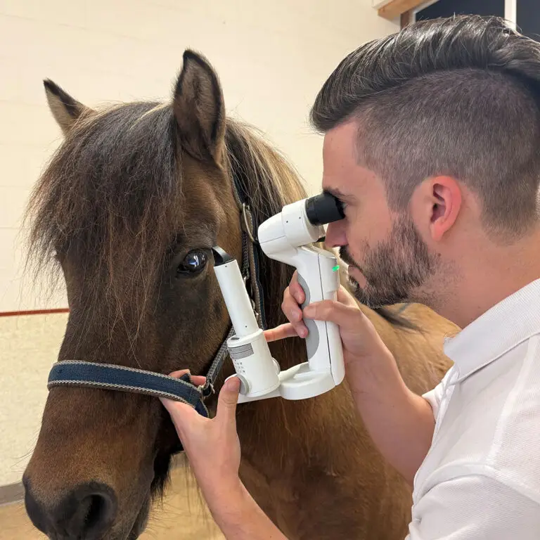 Augenheilkunde-Blohm-2