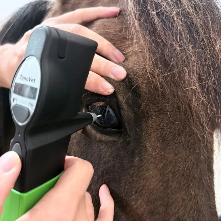 Augenheilkunde-Blohm