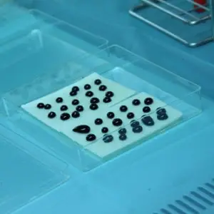 Regenerative-Medizin-2